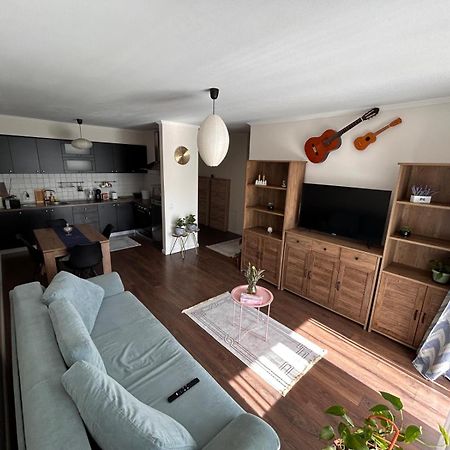 Апартаменти Bobo S House Клуж-Напока Екстер'єр фото